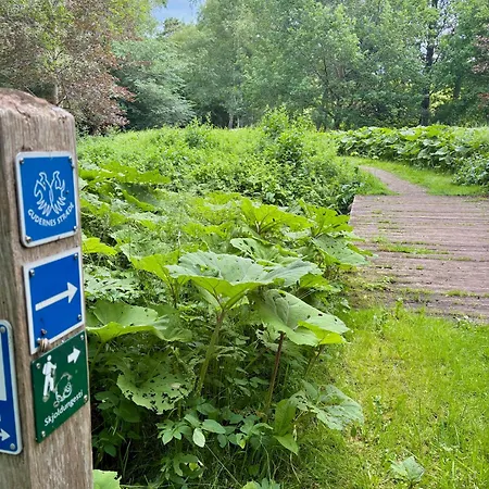 Apartament Hyggelig Naer Sagnlandet *
